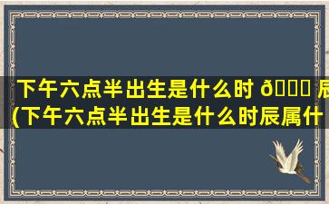 下午六点半出生是什么时 🐝 辰(下午六点半出生是什么时辰属什么)